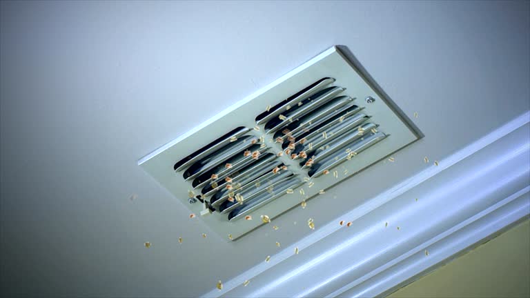 Professional Airduct Cleaning in VA